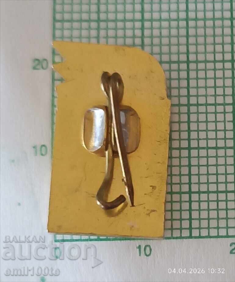 Insigna - Chavdarche cu preț € 0.50 | 0.98 BGN