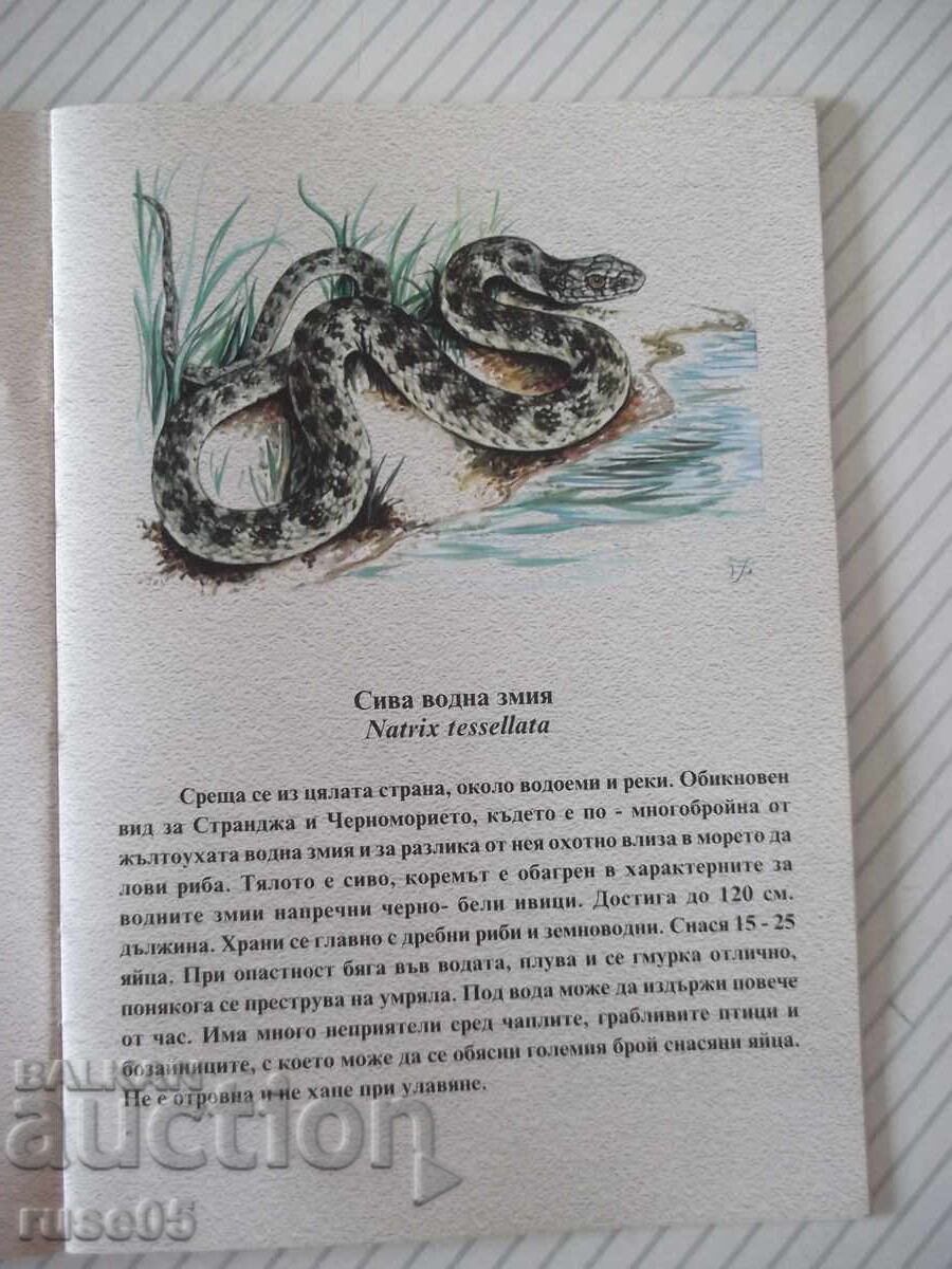 Δημοπρασία Βιβλίο "Τα φίδια της Στράντζα - Σπας Ουζούνοφ/Ιβάν Βάλτσεφ" - 14 σελ Δημοπρασία Βιβλίο "Τα φίδια της Στράντζα - Σπας Ουζούνοφ/Ιβάν Βάλτσεφ" - 14 σελ