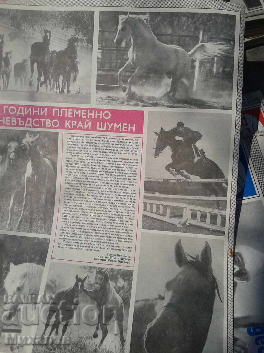 над 50 бр. списния Паралели - 5