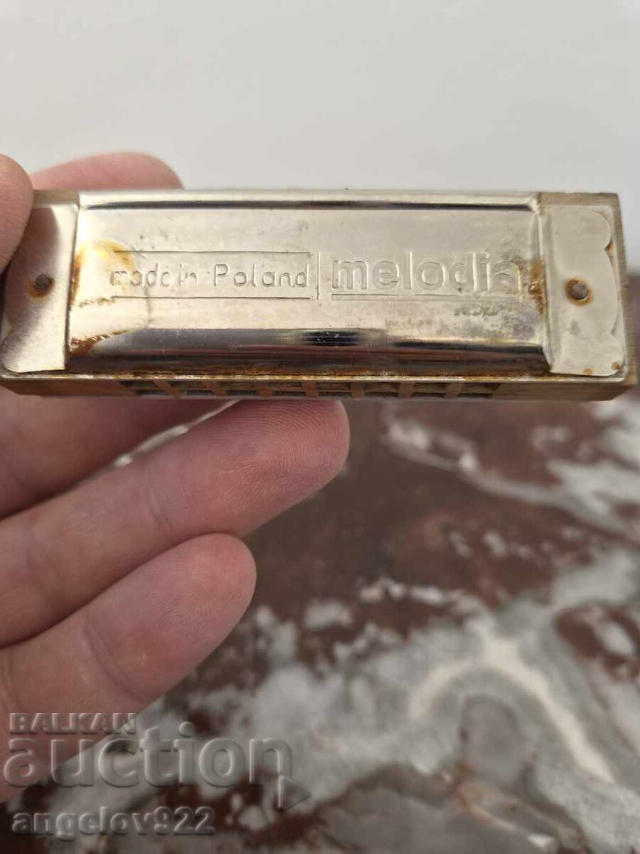 Πολωνική φυσαρμόνικα Melodia - 6