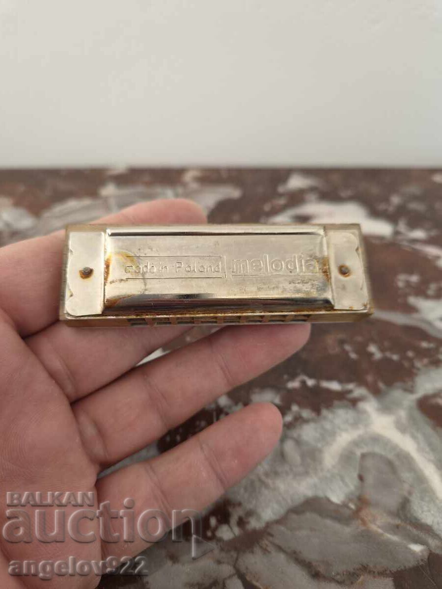 Πολωνική φυσαρμόνικα Melodia