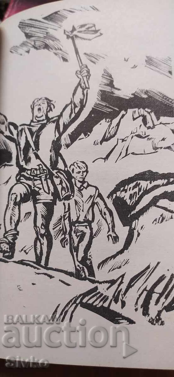 Livrarea Fratele lupului tăcut, Klára Jarunková, prima ediție, stare foarte bună