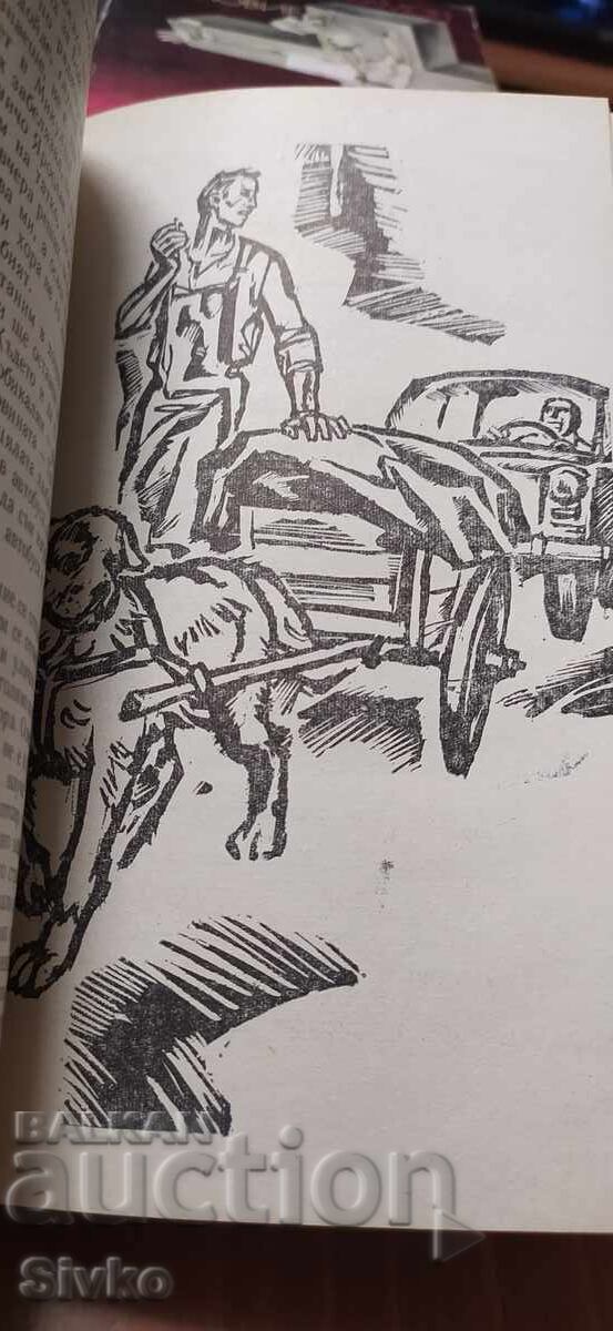 Fratele lupului tăcut, Klára Jarunková, prima ediție, stare foarte bună - 5