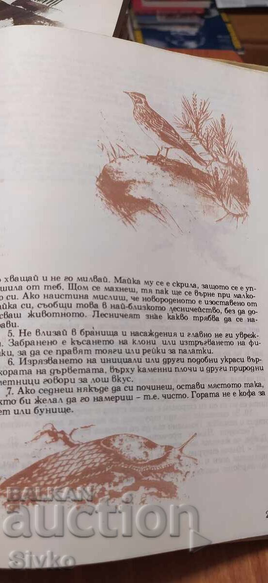 Marea carte a pădurii, Wolfgang Zeiske, multe ilustrații - 7 Marea carte a pădurii, Wolfgang Zeiske, multe ilustrații - 7