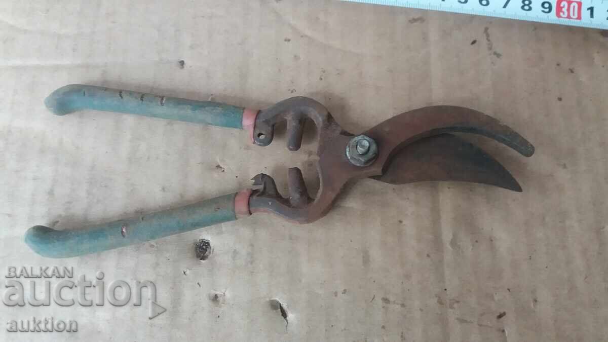 FOARCINE VECHE DE VIA - 5 FOARCINE VECHE DE VIA - 5