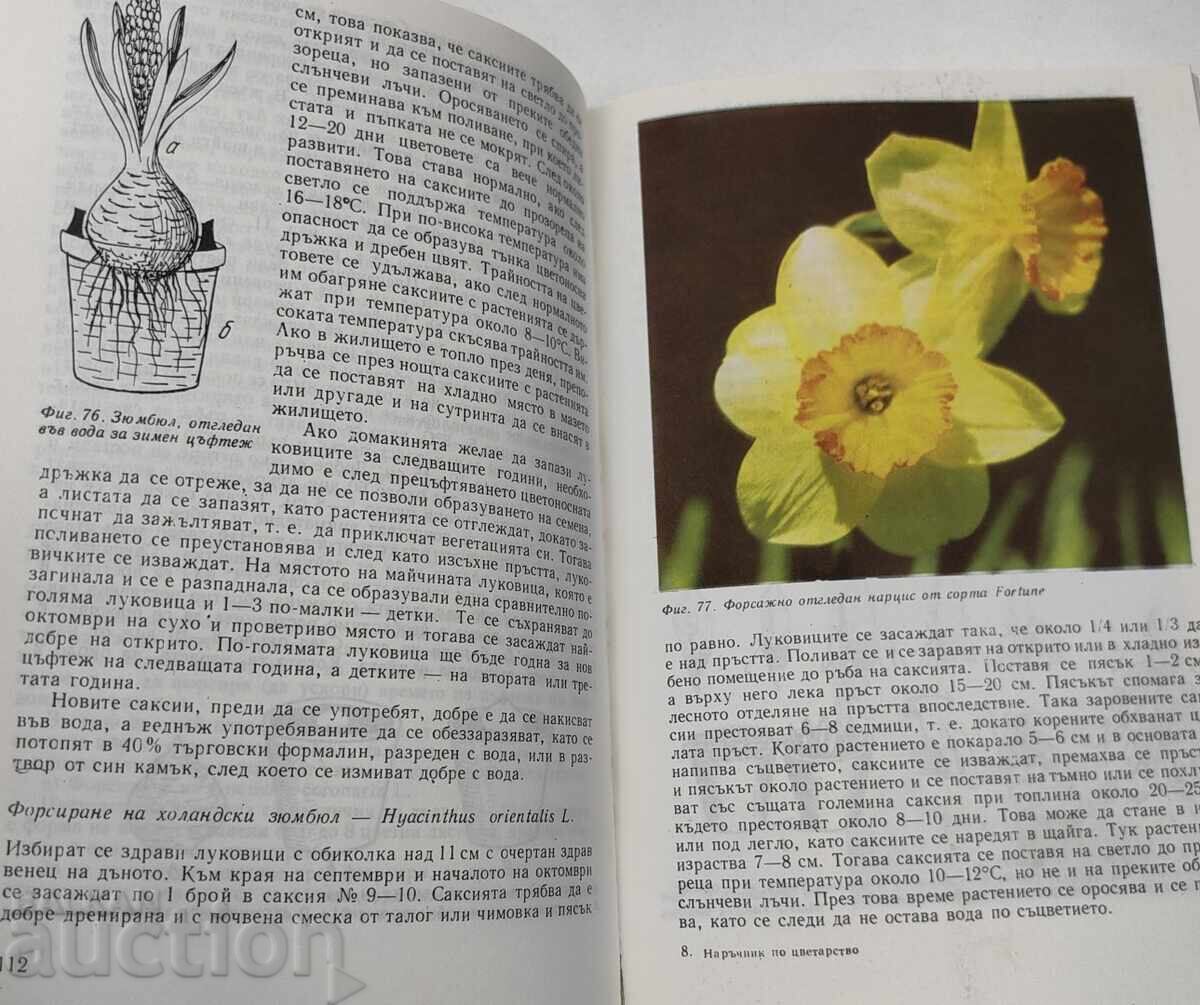 Auction  FLORICULTURE HANDBOOK