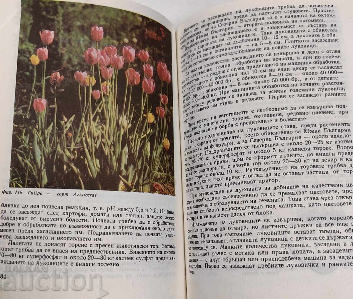 Delivery of FLORICULTURE HANDBOOK