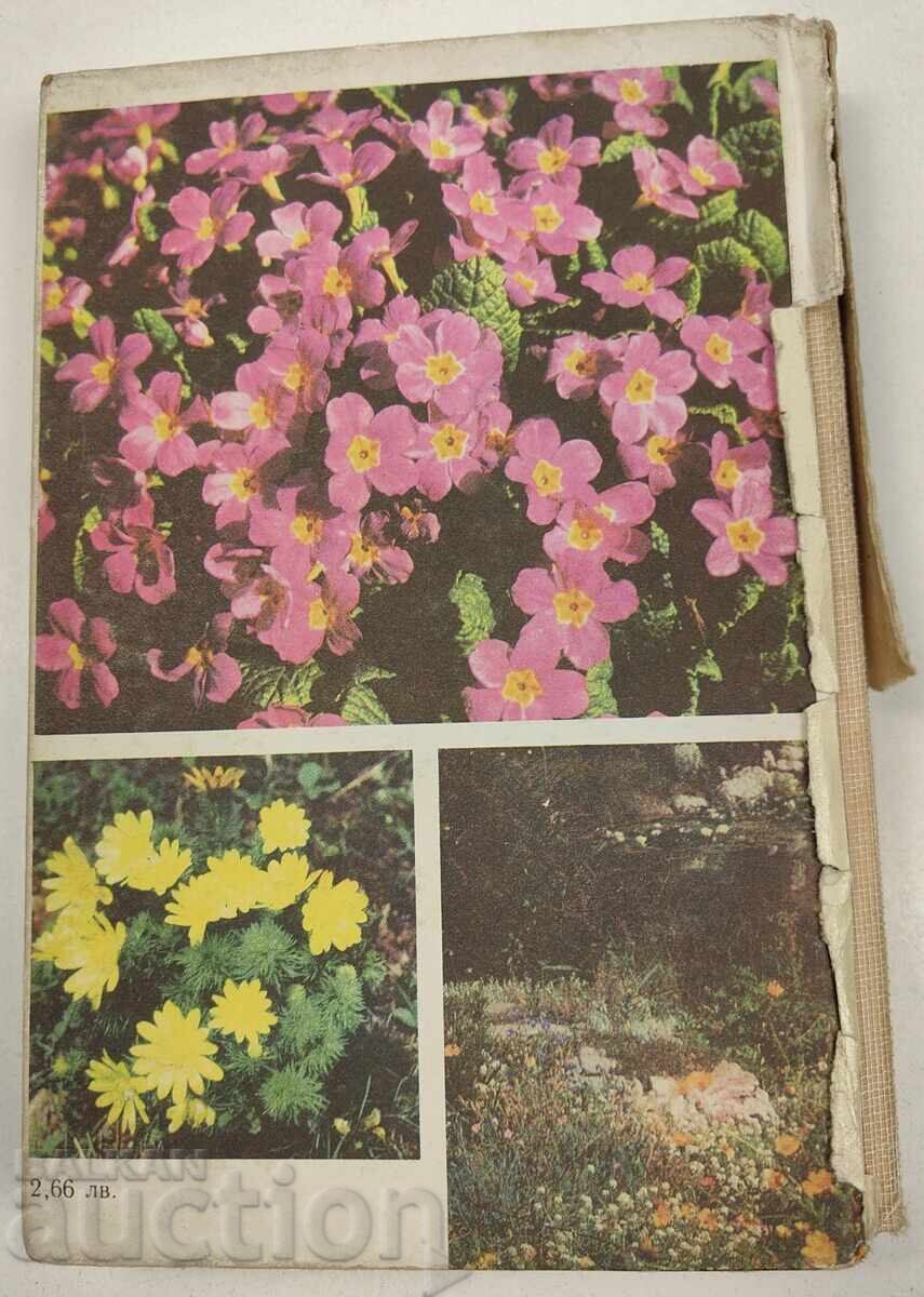 FLORICULTURE HANDBOOK - 7
