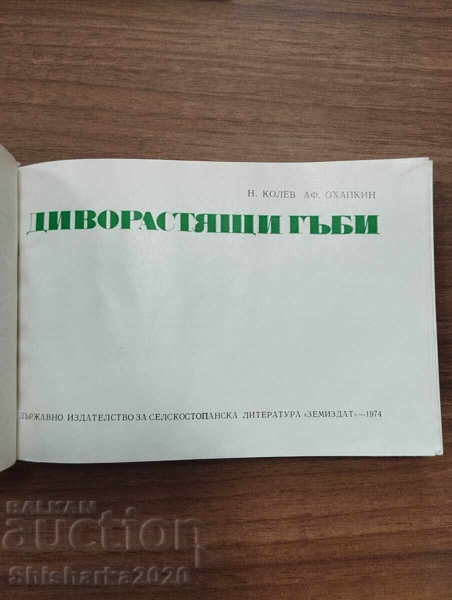 Ciuperci salbatice cu preț € 16.00 | 31.29 BGN Ciuperci salbatice cu preț € 16.00 | 31.29 BGN