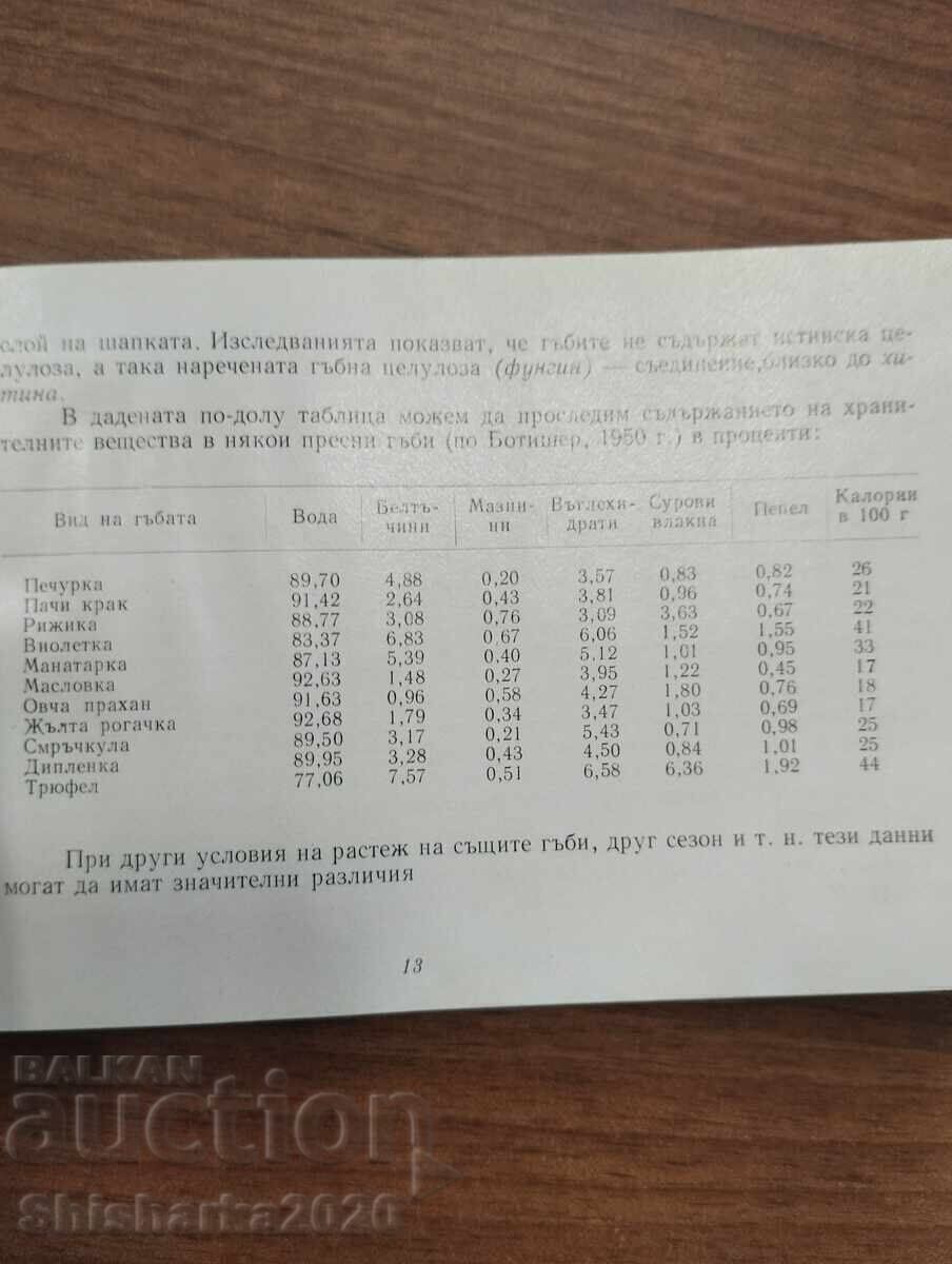Licitație Ciuperci salbatice Licitație Ciuperci salbatice