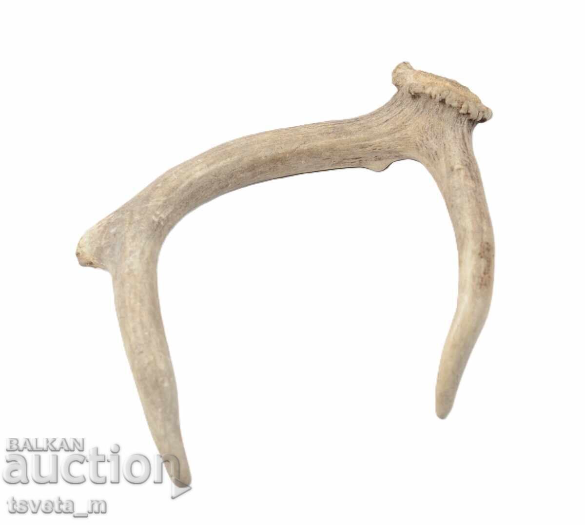 Доставка на Еленов рог