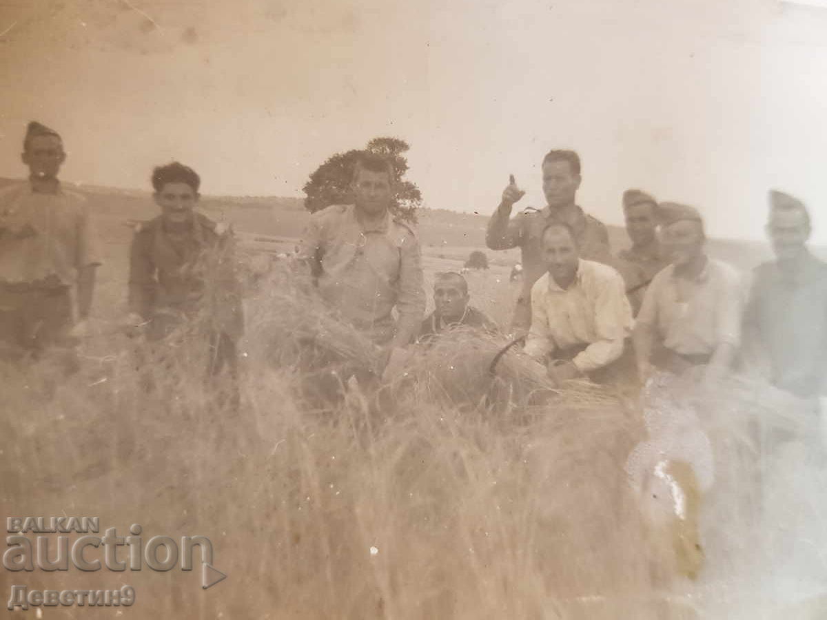 Δημοπρασία Εργάτες σε δράση σε ανοιχτό πεδίο Δημοπρασία Εργάτες σε δράση σε ανοιχτό πεδίο
