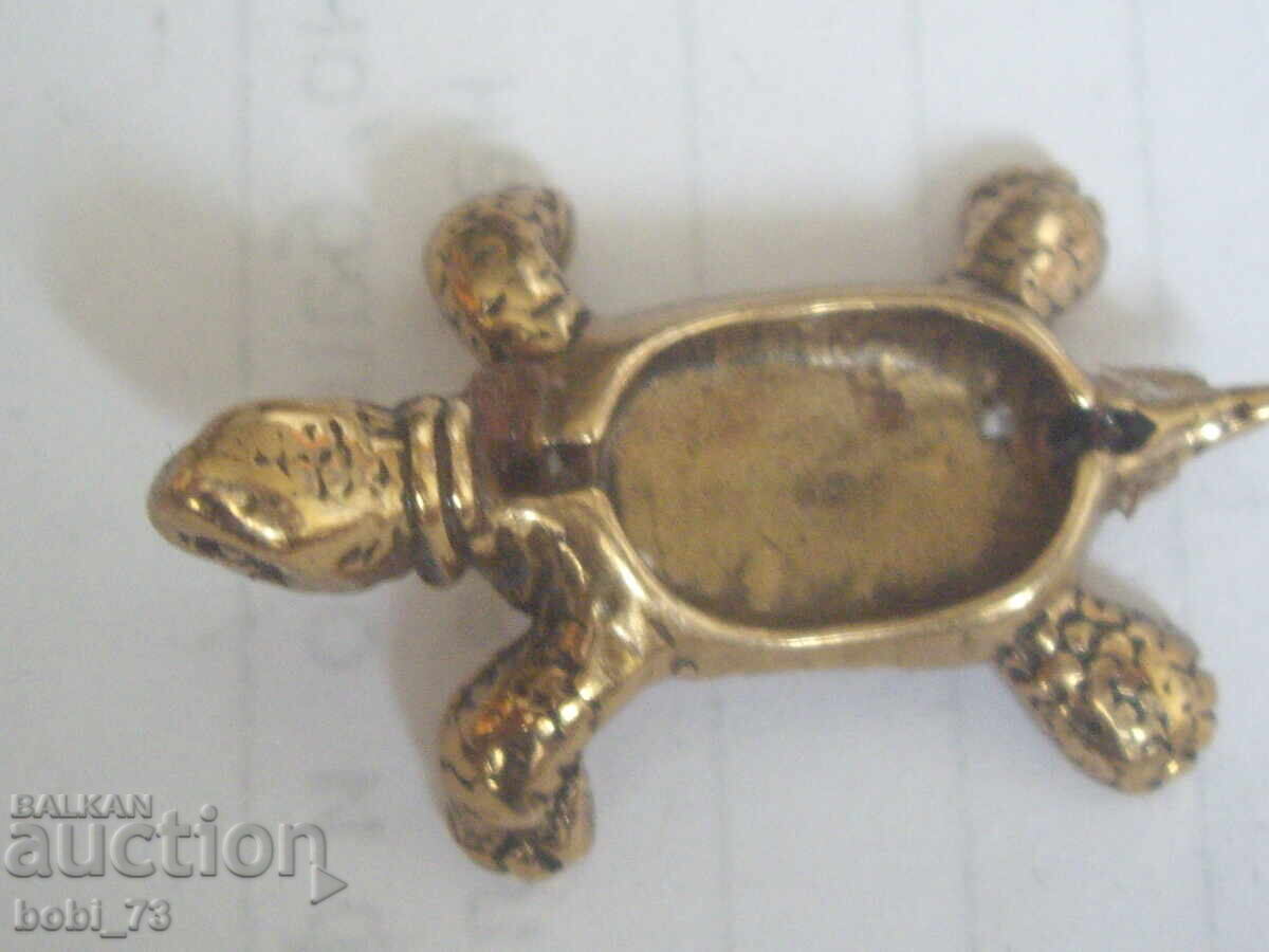 Țestoasă-bijuterie mică Țestoasă-bijuterie mică