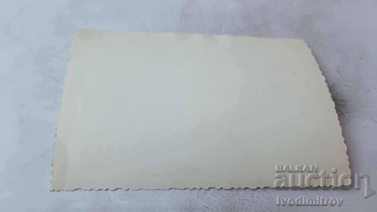 Αξιωματικοί φωτογραφιών στις σκάλες με τιμή € 1.08 | 2.11 BGN