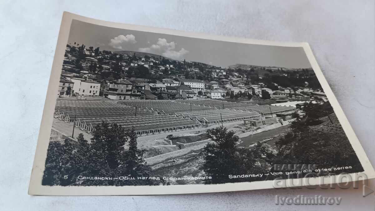 Postcard Sandanski General view of the greenhouses 1959