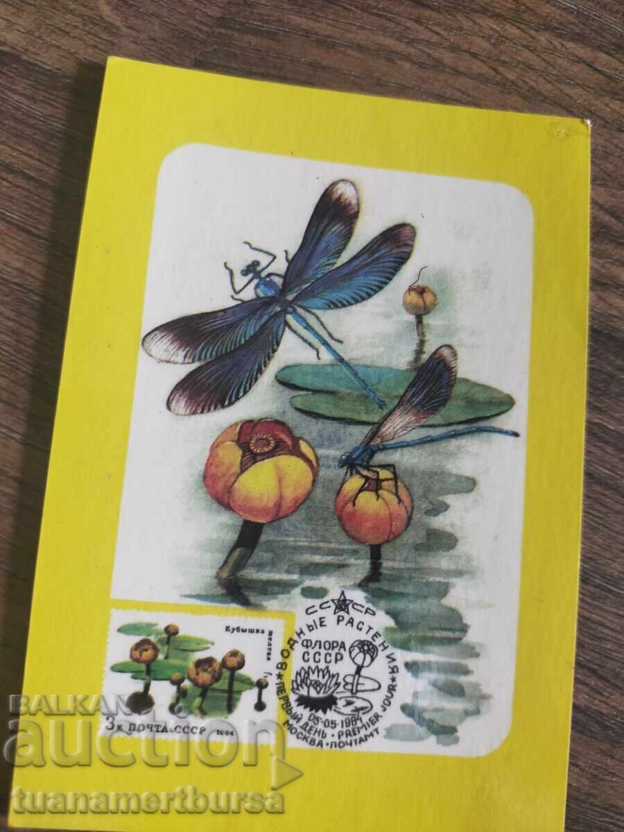 Star Calendar Star Calendar