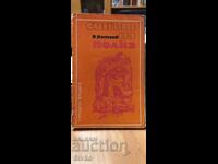 Синът на полка, Валентин Катаев, илюстрации