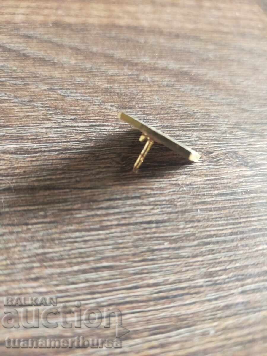 Δημοπρασία καρφίτσα