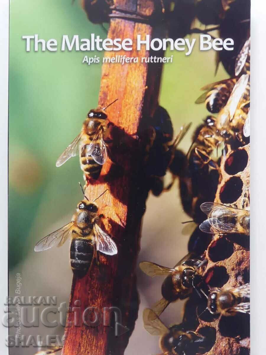 2 Euro 2024 Malta "Honey Bee" /Малта/ (2) - Unc (2 евро) - 5