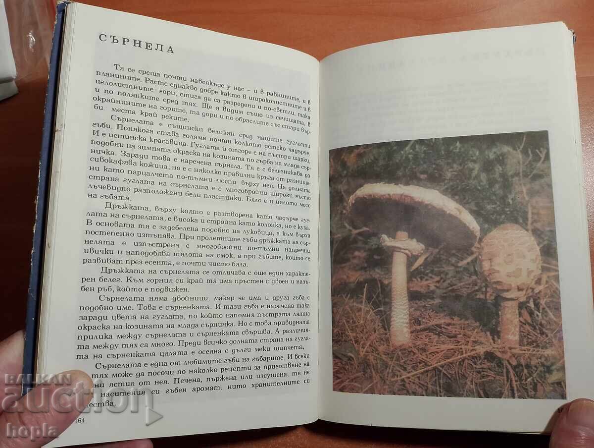 Δημοπρασία ΑΛΜΠΟΥΜ ΓΙΑ ΦΥΤΑ ΚΑΙ ΖΩΑ