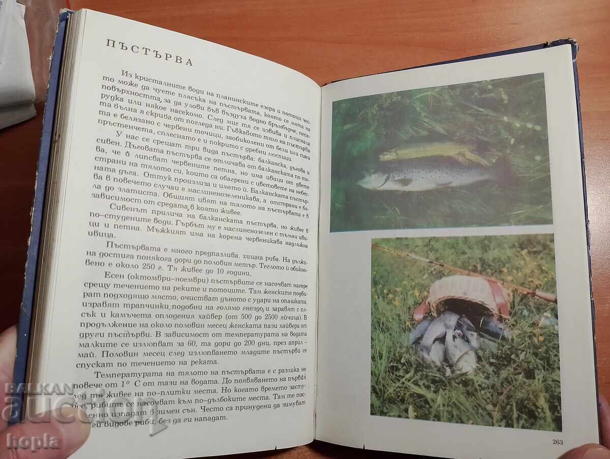 Παράδοση ΑΛΜΠΟΥΜ ΓΙΑ ΦΥΤΑ ΚΑΙ ΖΩΑ