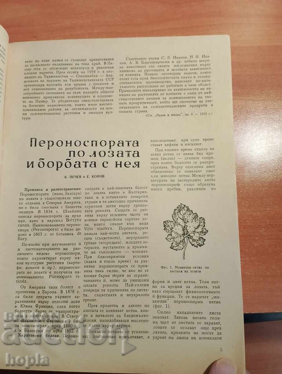 Δημοπρασία Περιοδικό ΦΥΣΗ ΚΑΙ ΓΝΩΣΗ 1956 Δημοπρασία Περιοδικό ΦΥΣΗ ΚΑΙ ΓΝΩΣΗ 1956