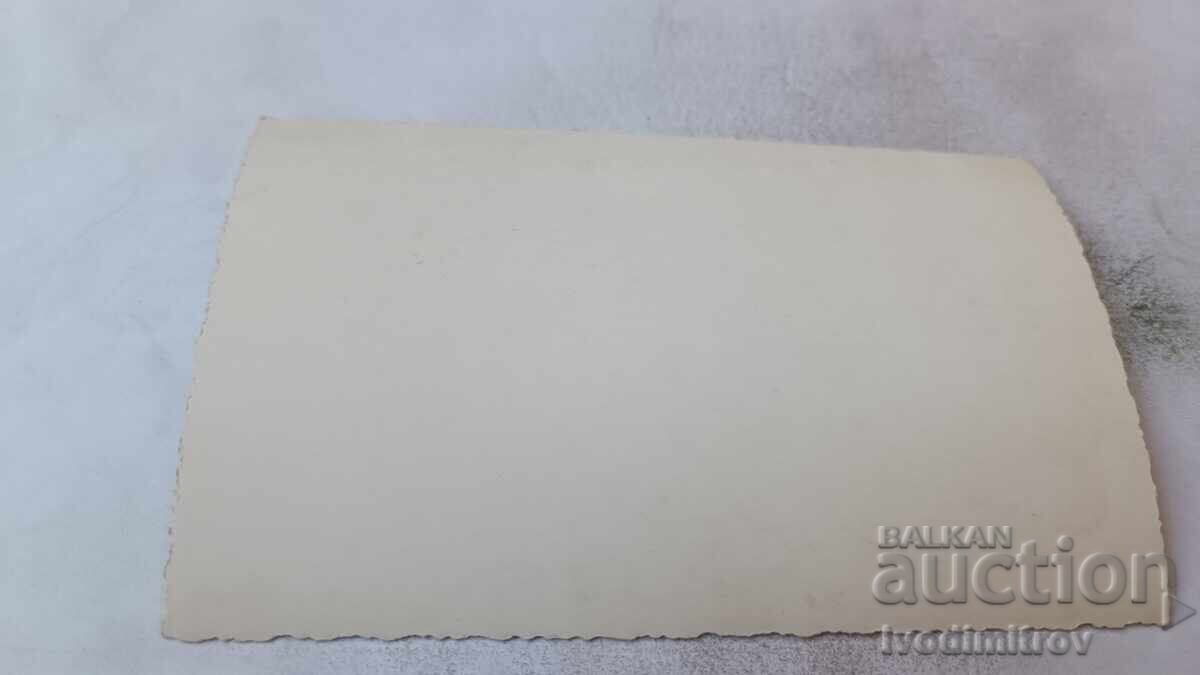 Poză fetiță cu codițe cu preț € 1.17 | 2.29 BGN