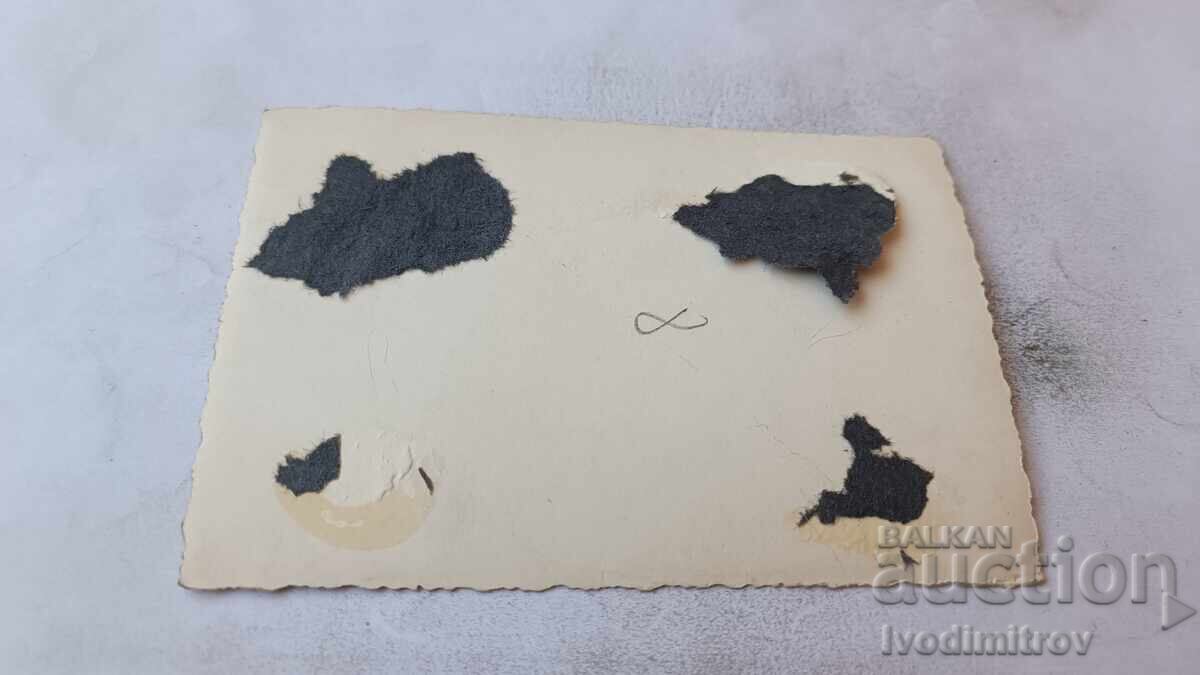 Photo: Gypsy woman with a tambourine in hand with price € 2.18 | 4.26 BGN