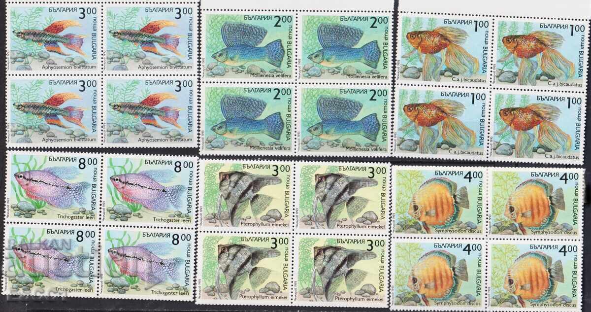 Καθαρά γραμματόσημα σε τετράδα Πανίδα Ψάρια 1993 από τη Βουλγαρία