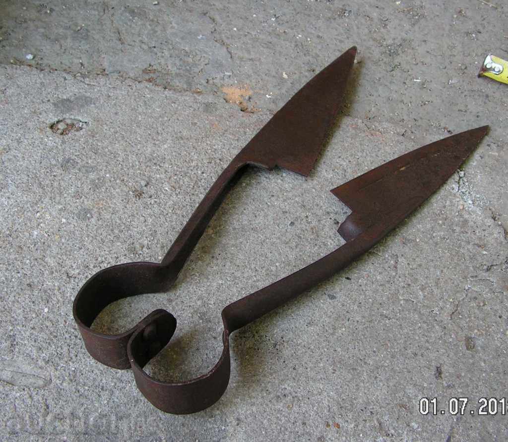 Delivery of Old sheep shearing clippers