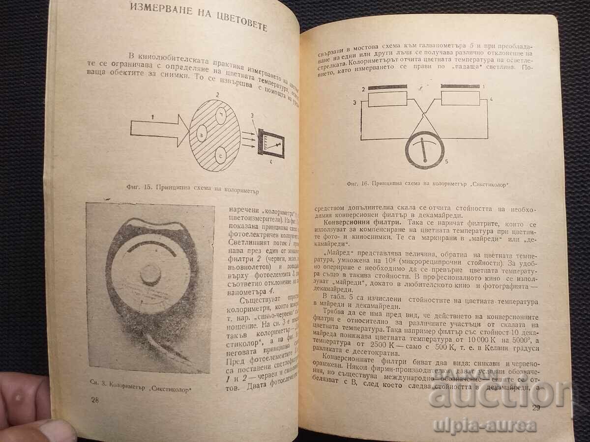 Licitație Fotografie