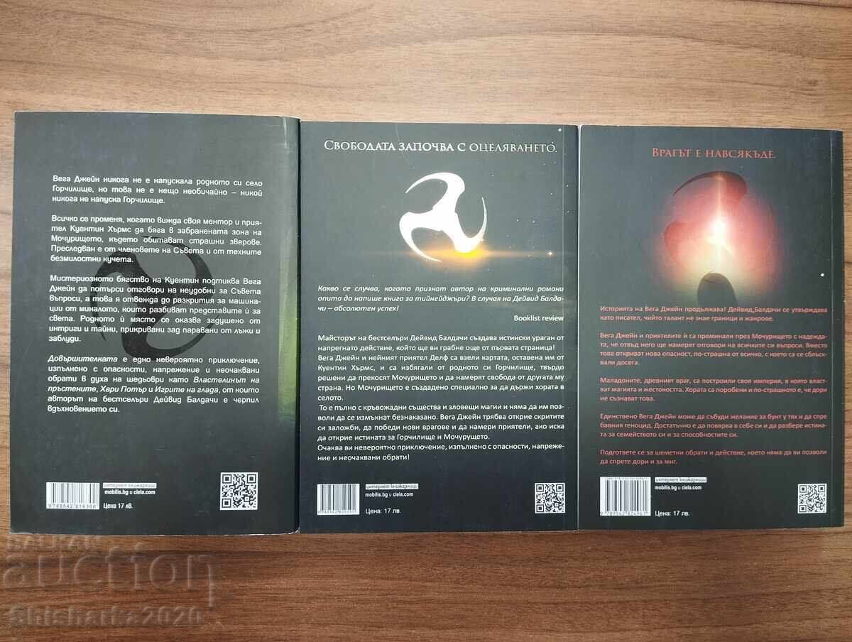 Auction  LOT! David Baldacci