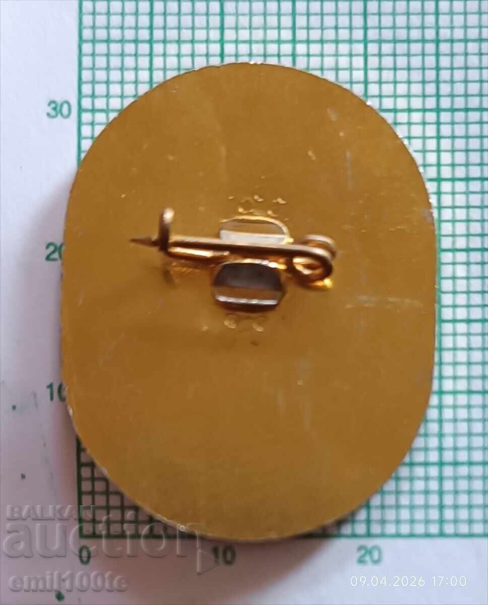 Delivery of Badge - International Symposium on Financial Control Varna 89