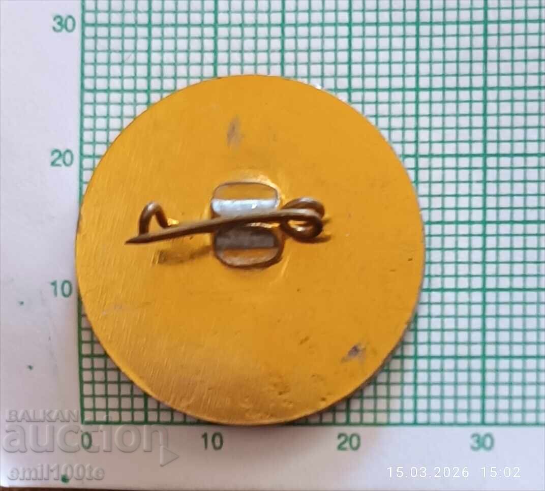 Delivery of Pin - Sports and Football Club Debelets