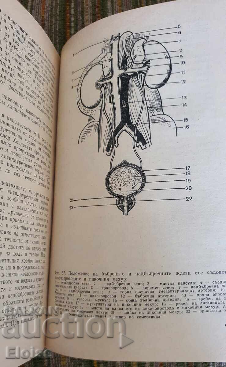 Knowledge of Man - 5