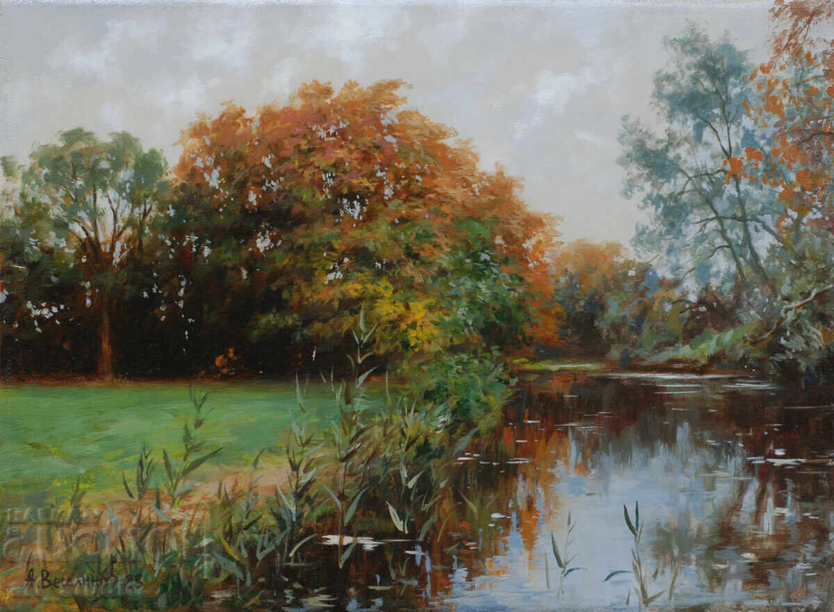 Forest landscape - oil paints with price € 98.00 | 191.67 BGN