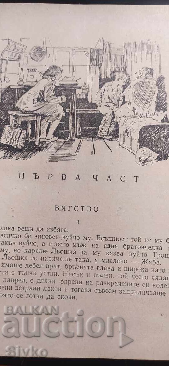 Licitație Orfanul, Nikolai Dubov, multe ilustrații