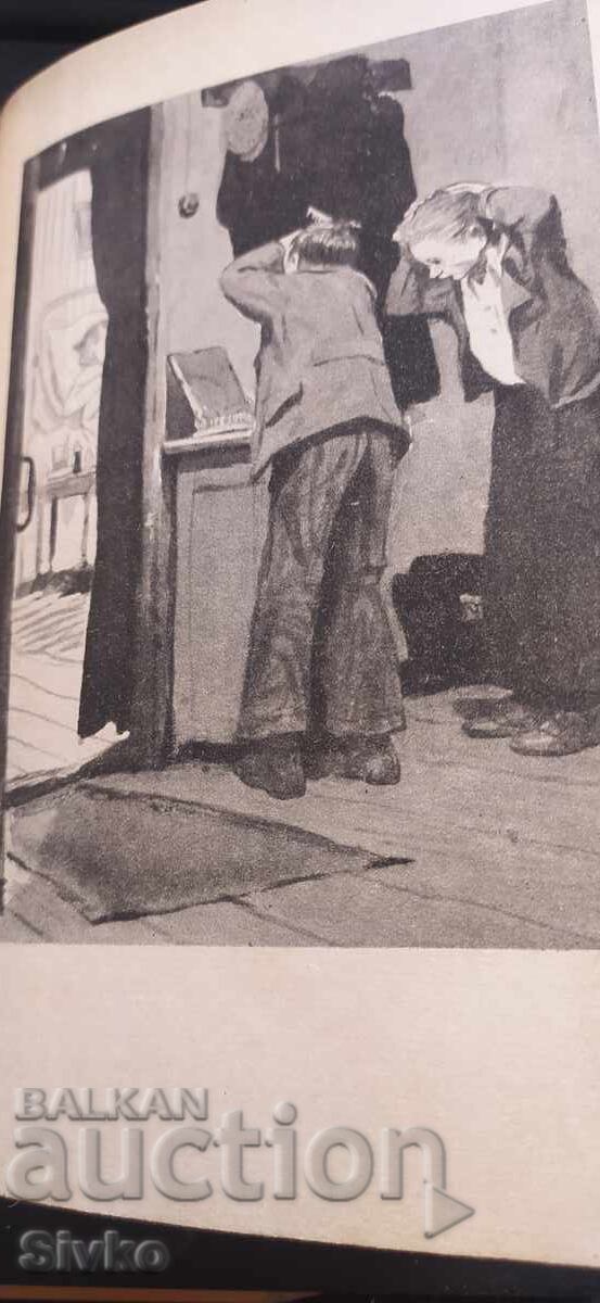 Livrarea Orfanul, Nikolai Dubov, multe ilustrații