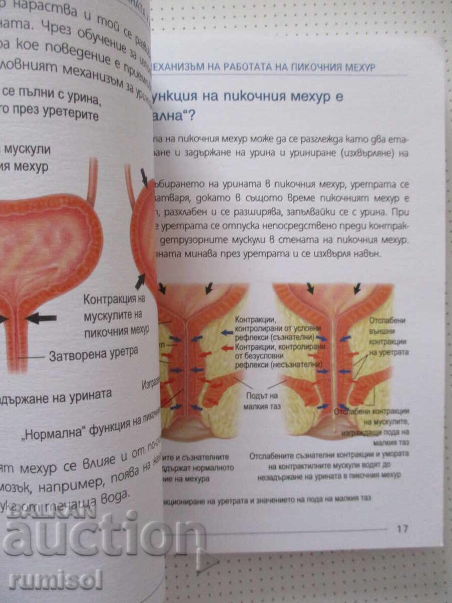 Незадържане на урината у жените-Л. Д. Кардосо, Ф. Тудж-Хобсъ - 5