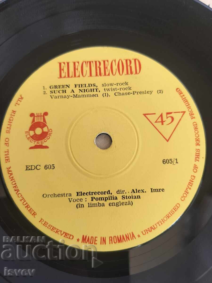 Доставка на Pompilia Stoian, малка плоча