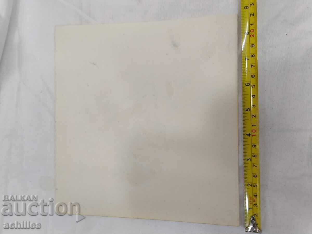 Livrarea Tablou desen Krasimir Boychev