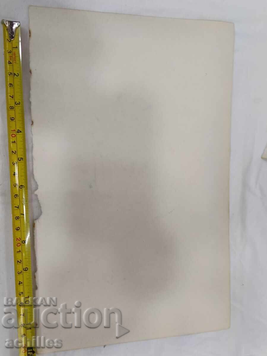 Delivery of Drawing by Krasimir Boychev