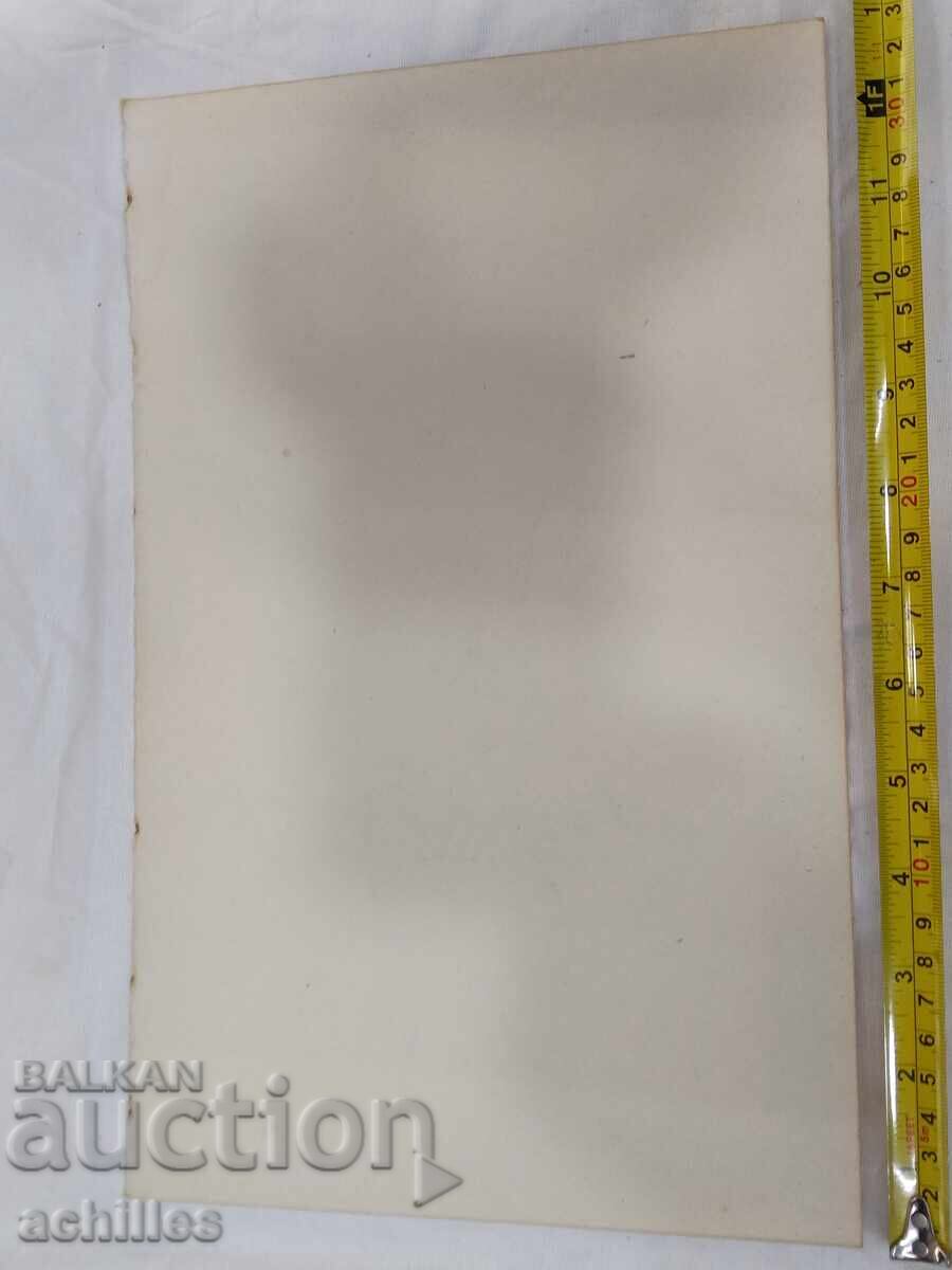 Livrarea Tablou desen Krasimir Boychev Livrarea Tablou desen Krasimir Boychev