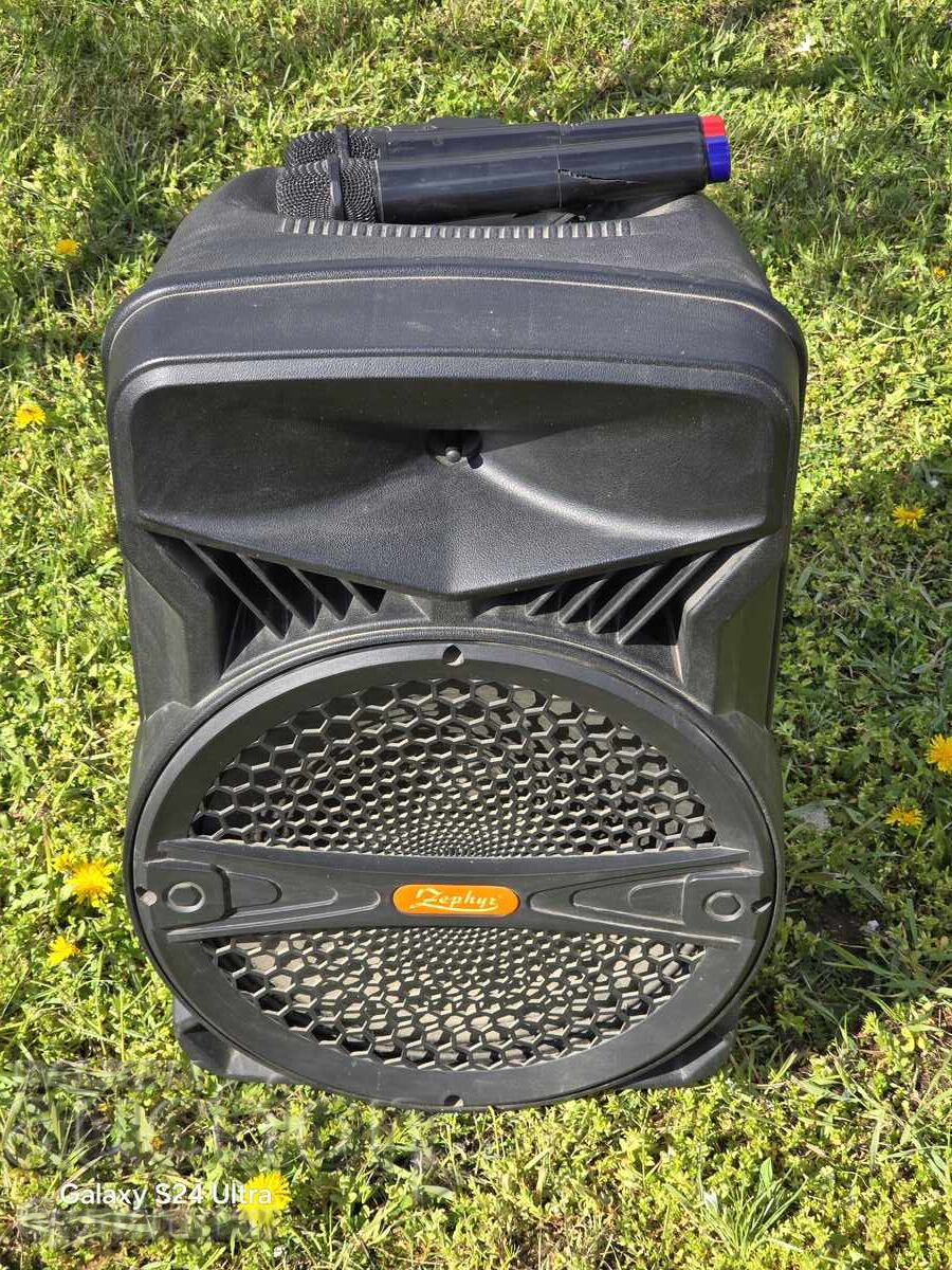 Karaoke with 2 microphones. Condition visible in the photos. Working