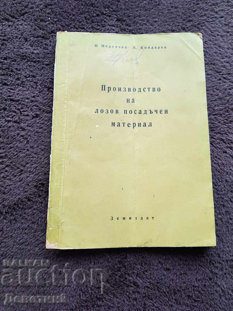Producție de material săditor viticol 1955