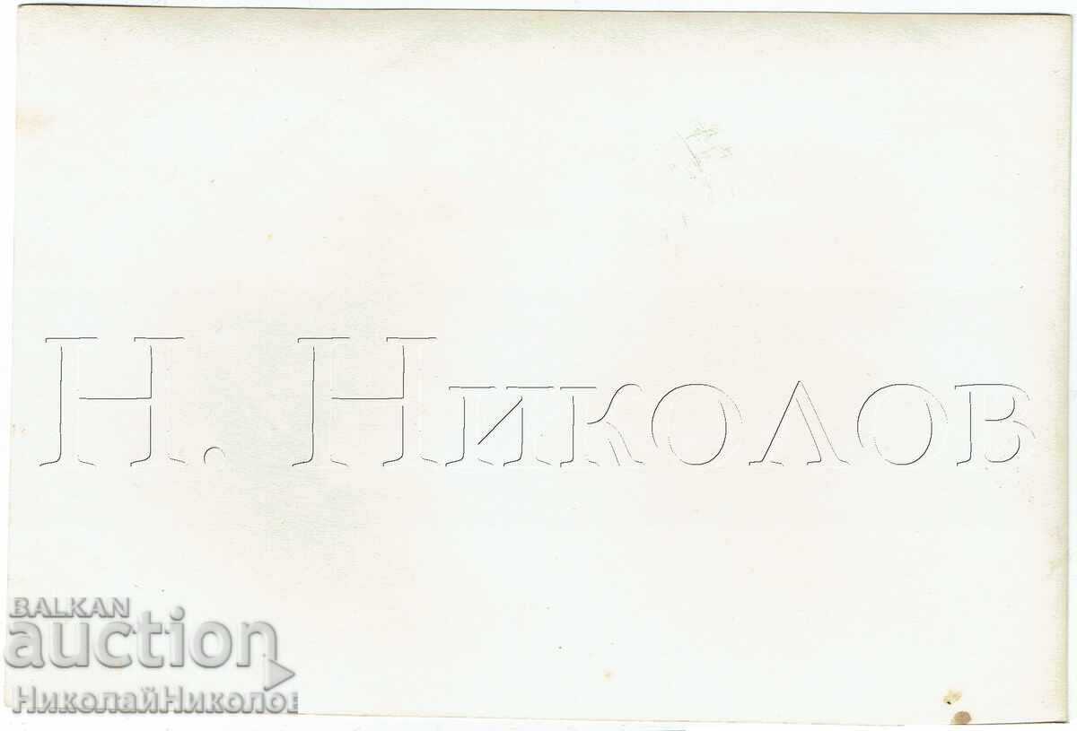 1958 FOTOGRAFIE VECHE MARE CRIMEEA GURZUF FESTIVAL AL PIONIERILOR J601 cu preț € 7.50 | 14.67 BGN