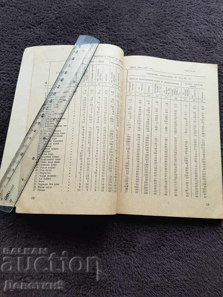 Înghețul viilor și lupta pentru recolte bogate 1954 - 6