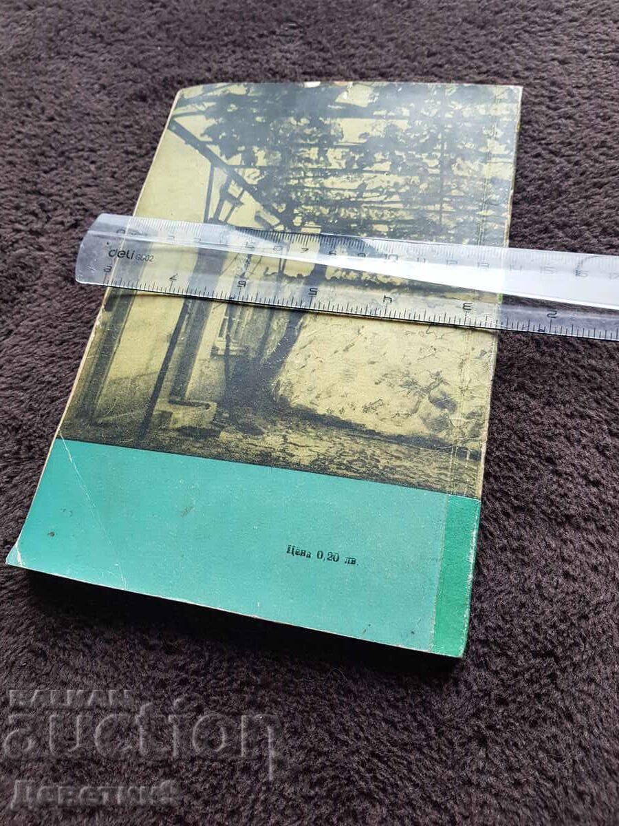 Cultivarea viței de vie în curte 1967 cu preț € 9.00 | 17.60 BGN