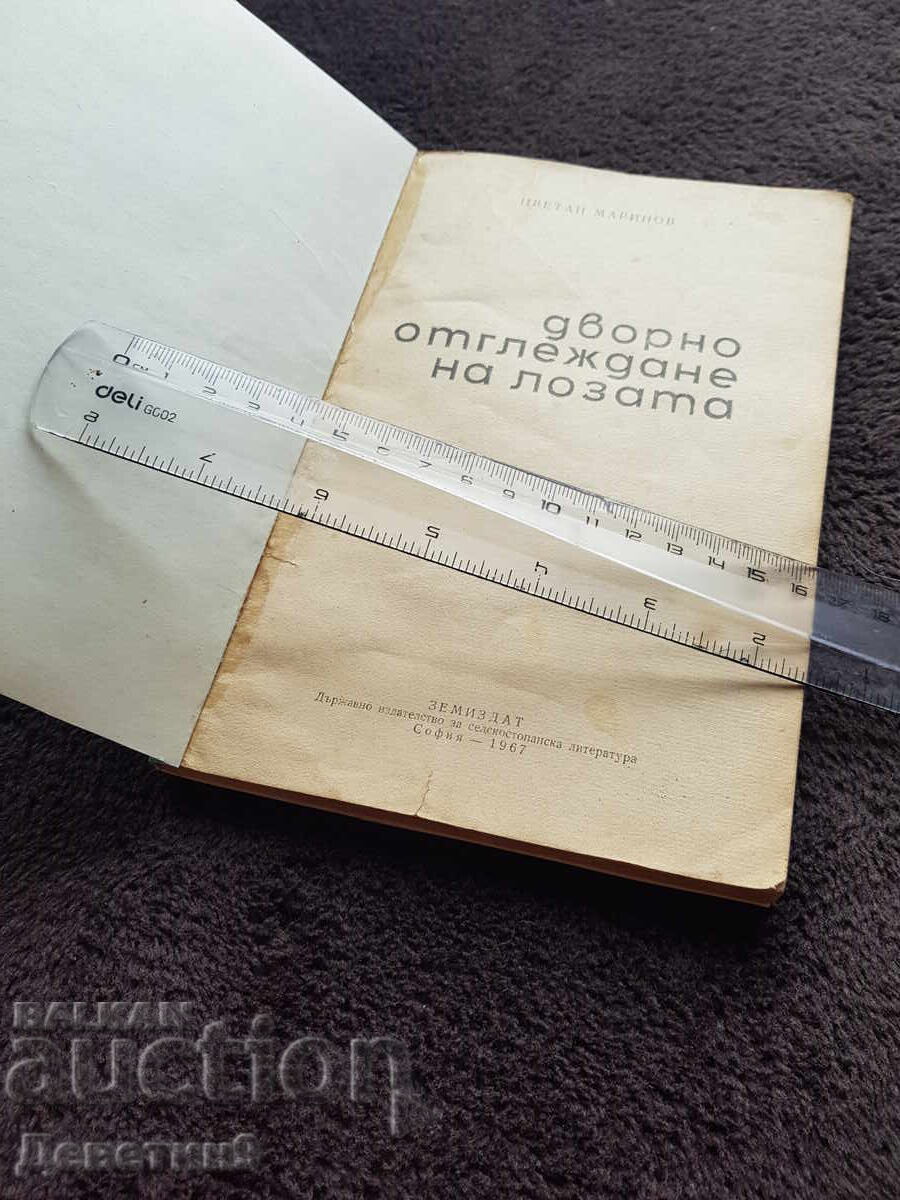 Licitație Cultivarea viței de vie în curte 1967