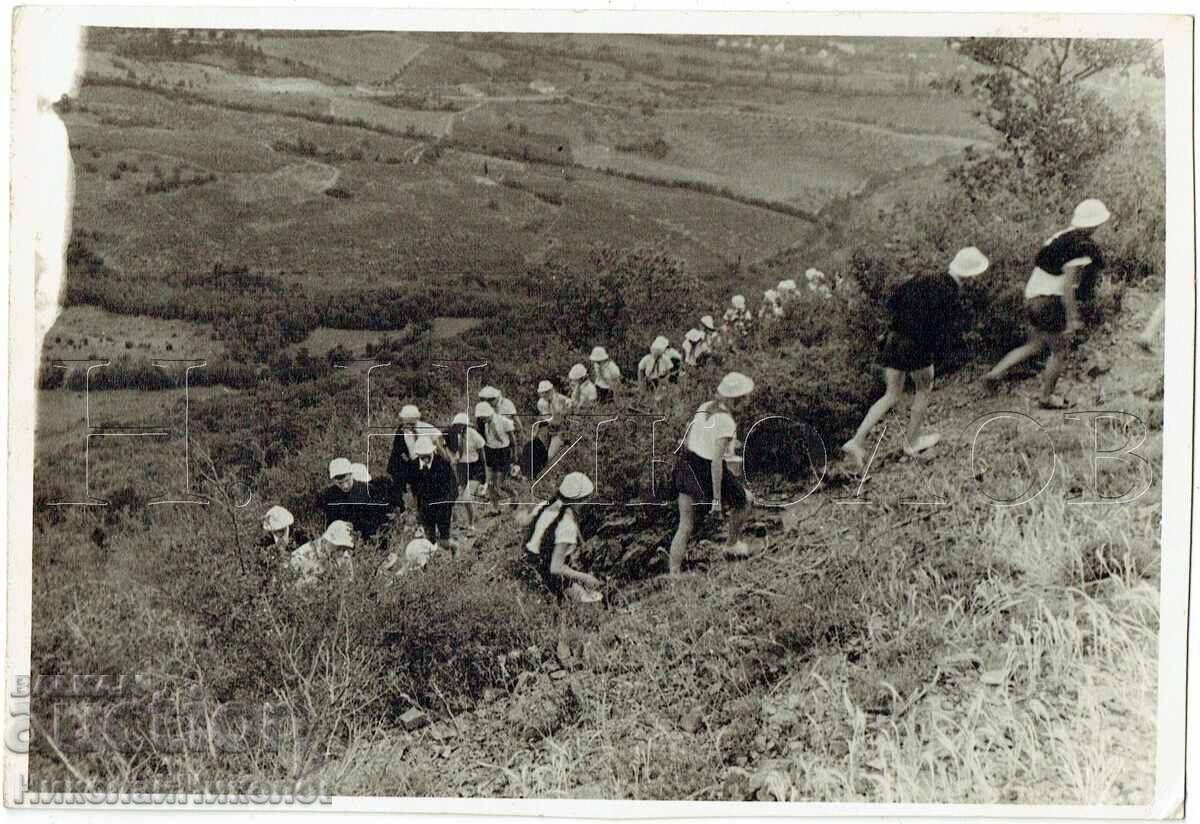 1958 FOTOGRAFIE VECHE MARE CRIMEEA GURZUF FESTIVAL AL PIONIERILOR J606